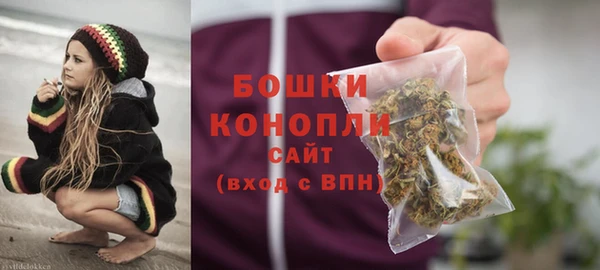 PSILOCYBIN Волосово