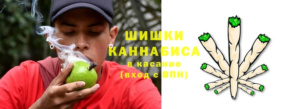 PSILOCYBIN Козельск