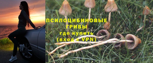 спиды Коряжма