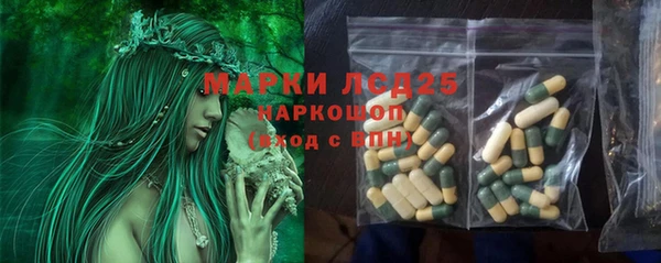 крисы Костерёво