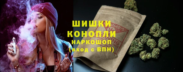 PSILOCYBIN Козельск