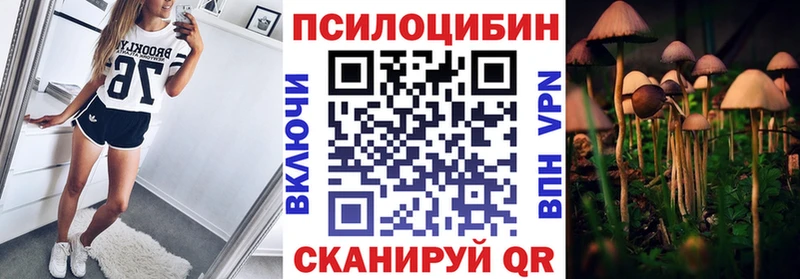 kraken tor Звенигово Псилоцибиновые грибы мухоморы продажа наркотиков